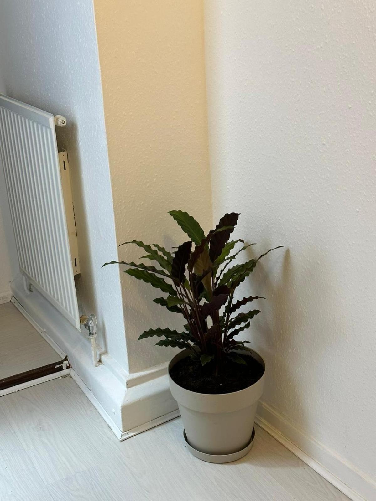 3 Bedroom King Cross Station City Centre Londra Exterior foto